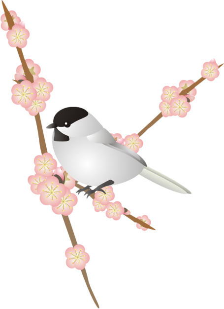 �����Ɣ~15