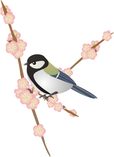 �����Ɣ~16