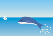 イルカ16 イルカ16