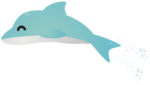 �C���J�W�����v17