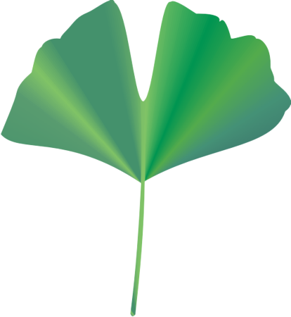 �C�`���E10