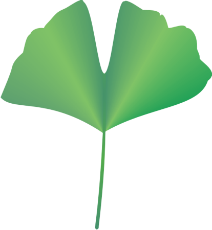 �C�`���E11