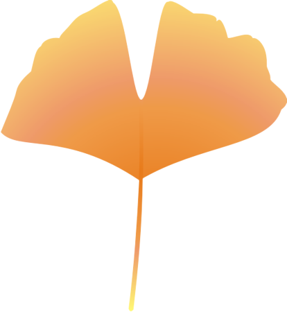 �C�`���E12